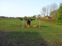 /album/fotogalerij/a20120502-190524-kopie-jpg/